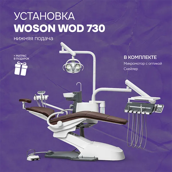 Установка Woson 730 нижняя подача + матрас в подарок